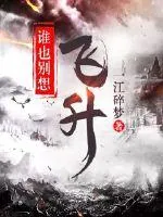 《谁也别想飞升》封面