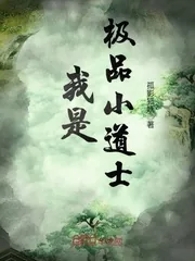 《我是极品小道士》封面
