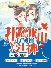《爆萌小仙：扑倒冰山冷上神》封面