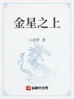 《金星之上》小说封面