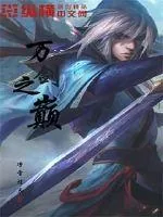 《万剑之巅》小说封面
