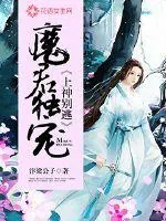 《魔君独宠，上神别逃》小说封面
