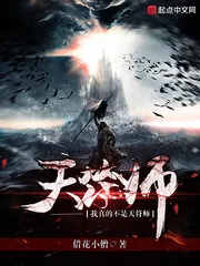 《我真的不是天符师》小说封面