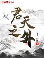《君天之外》小说封面