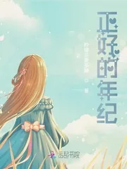 《正好的年纪》小说封面