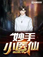 《妙手小医仙》小说封面
