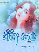 《盛宴：纸醉金迷》小说封面