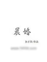 《晨婚》小说封面