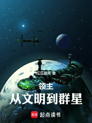 《领主:从文明到群星》小说封面