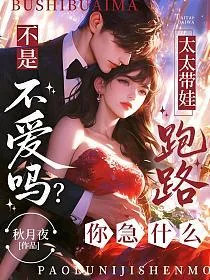 《不是不爱吗？太太带娃跑路你急什么》小说封面