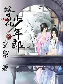 《簪花少年郎》小说封面