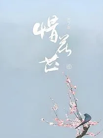 《惜花芷》小说封面